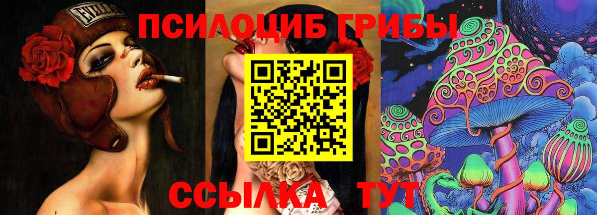 Псилоцибиновые грибы MAGIC MUSHROOMS  закладка  Кемерово  Псилоцибиновые грибы GOLDEN TEACHER  Вход с VPN 